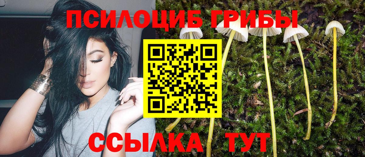 Галлюциногенные грибы MAGIC MUSHROOMS  Вход с VPN  Абинск 