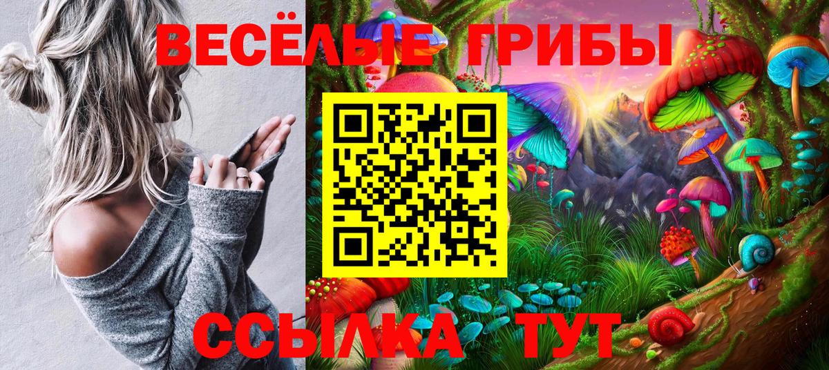 Псилоцибиновые грибы мухоморы Абинск