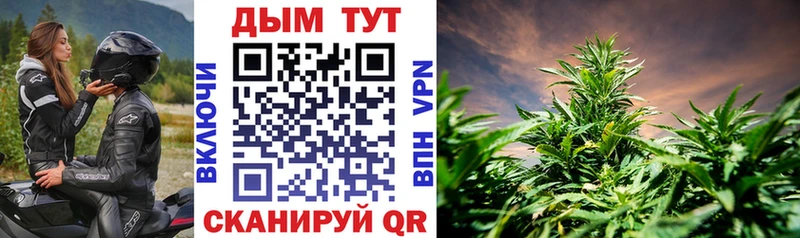 где можно купить   Абинск  Конопля индика 